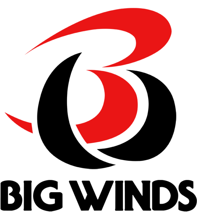 BW LOGO DARK WEB