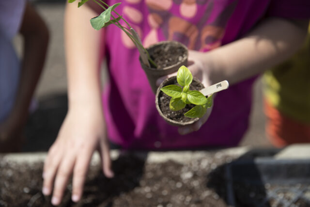 060123 4 H Ag Day 099