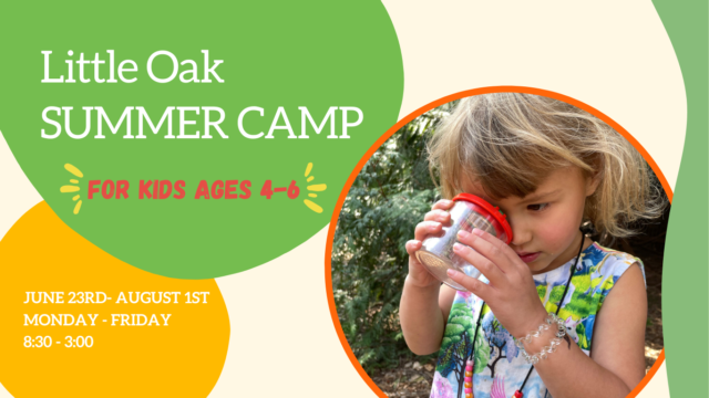 2025 Summer Camp web banners