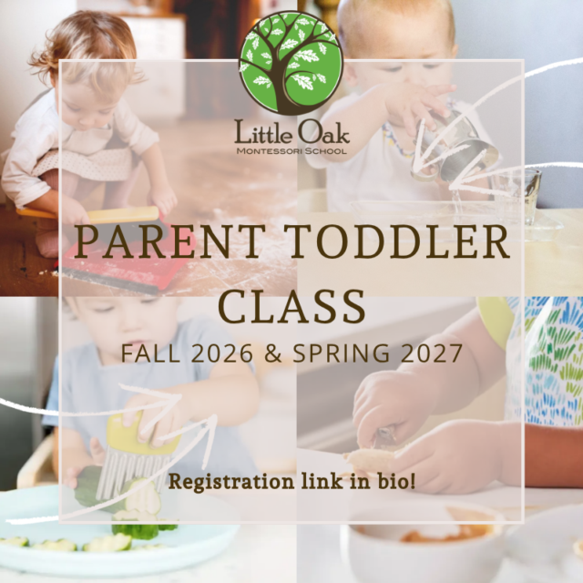 2026 27 Parent Toddler IG Graphic