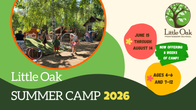 2026 Summer Camp banner 1