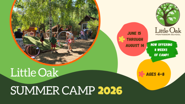 2026 Summer Camp banner