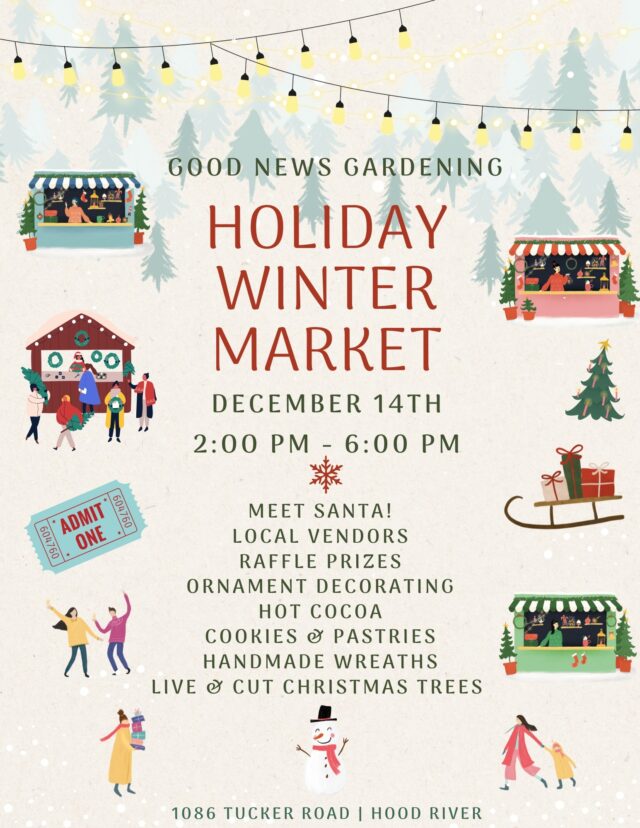 494108888 1219601040174653 6085382604111313153 n