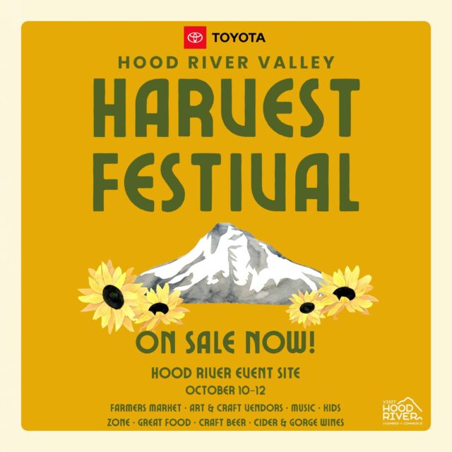 540471429 1179351734218277 838853427454930962 n