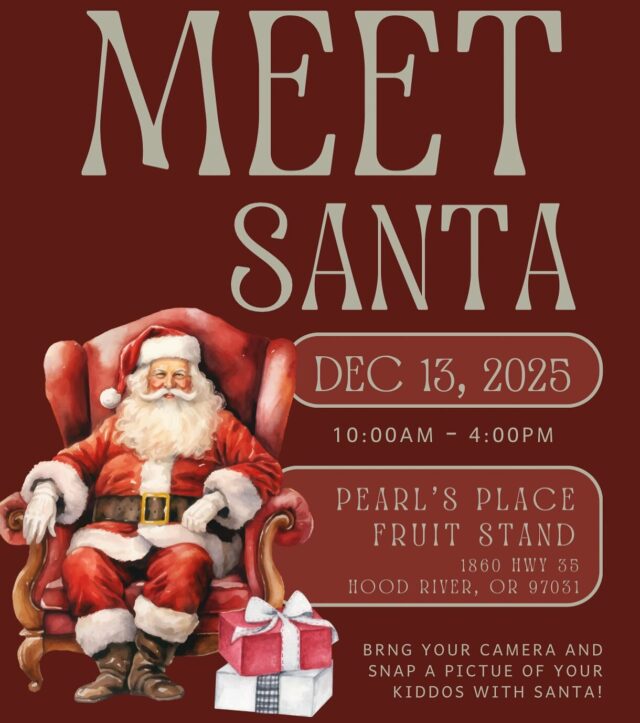 581524451 18175664044367237 3592869861995596926 n