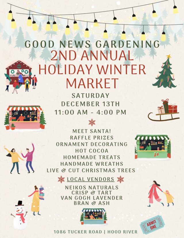 584895842 1401014292033326 8275719127729106203 n