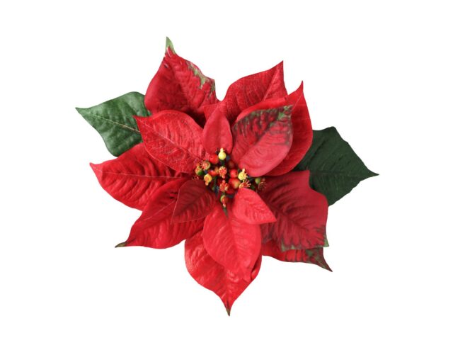 Funds will go to support Educational and Enrichment Activities for Cascade Locks Students Purchase pre sale to make sure you get your flowers There will be a limited number of poinsettias for pu 3