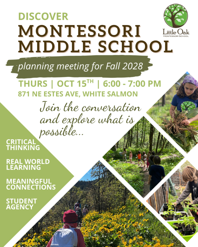 Middle School Meeting flyer Instagram Post 45