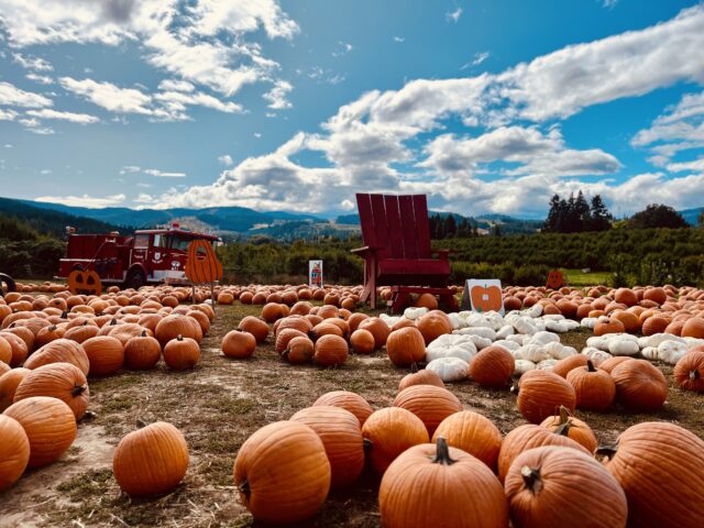 Photo Sep 20 2023 12 53 23