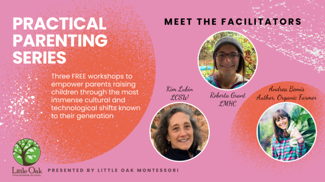 Practical Parenting Series2025 F Beventcover