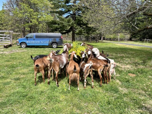 4492 D31 C BA86 446 F ABA3 E282144 D636 FIMG 0248