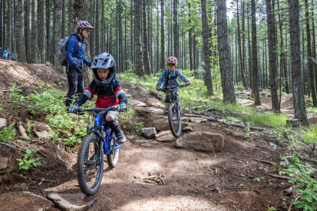 61 AA4061 5202 43 FF B787 1 C11 FBBB63 D6 1 105 c