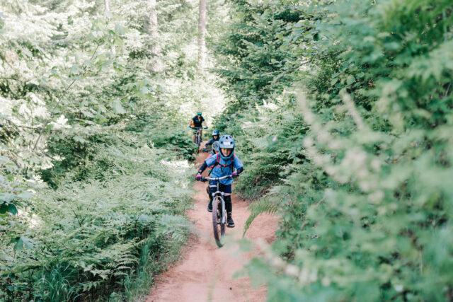 A family mountain biking in the woods