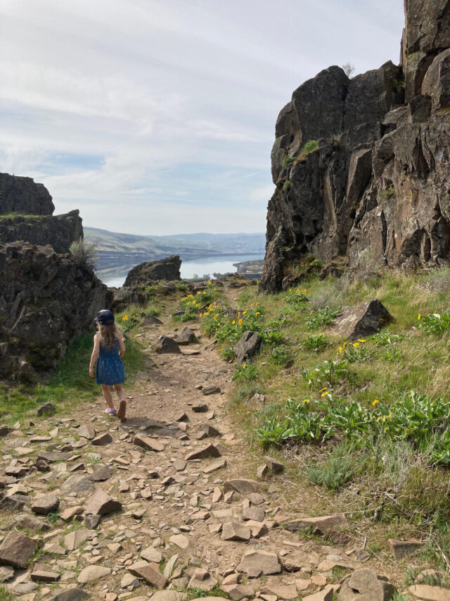 Little girl on a wildflower hike near Hood River, Oregon