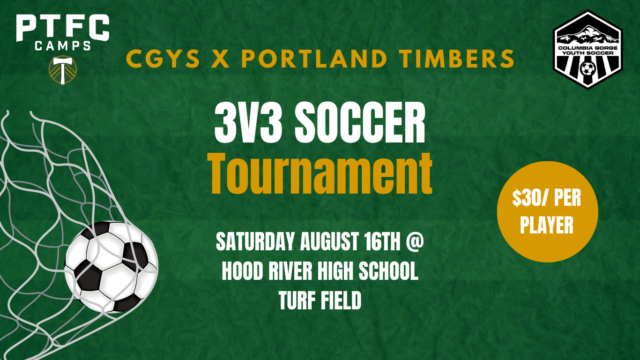 Green Simple Soccer Event Flyer Website