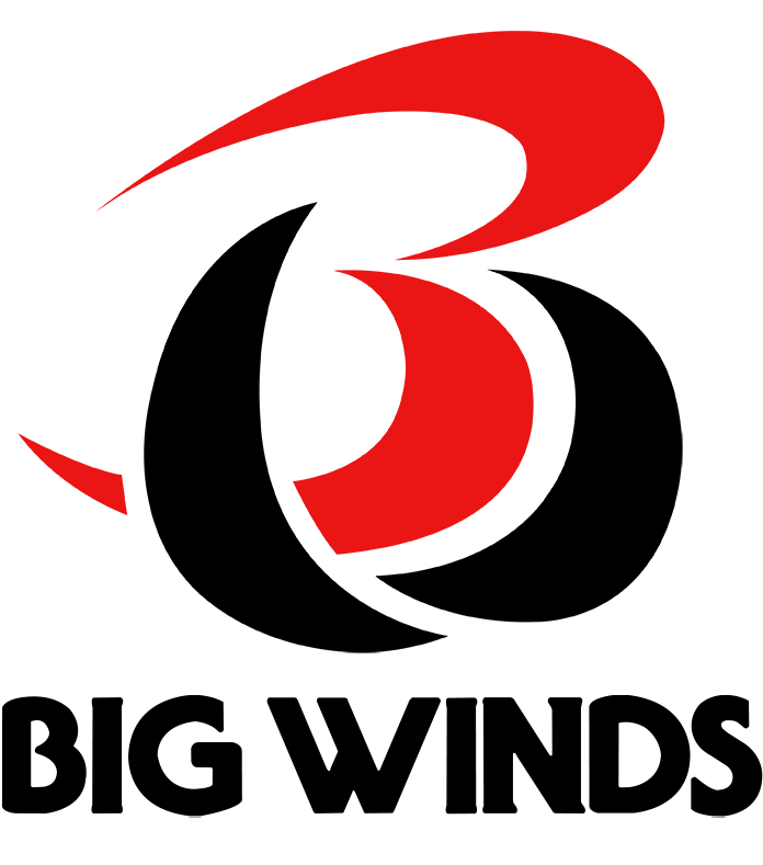 BW LOGO DARK WEB