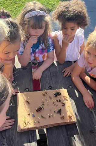 Foundand Rewound Nature Art Camp