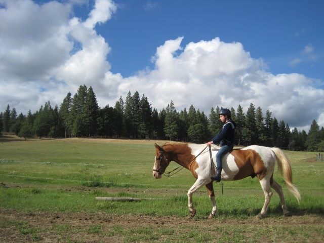 1383973 10151940778822403 237180625 n