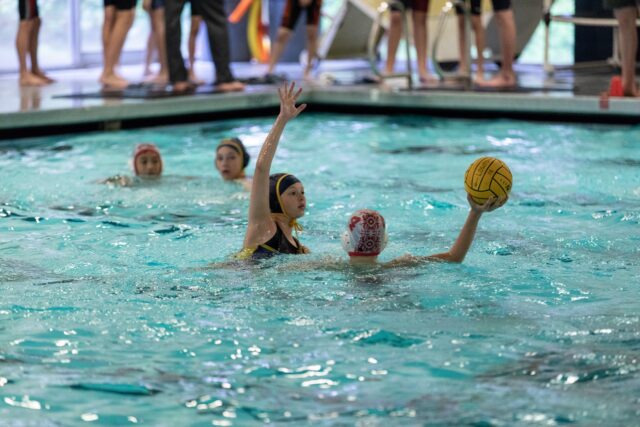 30709360 10155599070626538 7238869018914848768 o