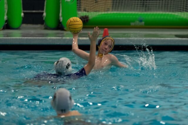 30710569 10155599068466538 1961397841939136512 o