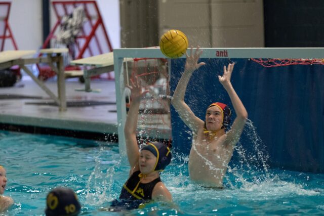 30728997 10155599068336538 5117723682331951104 o