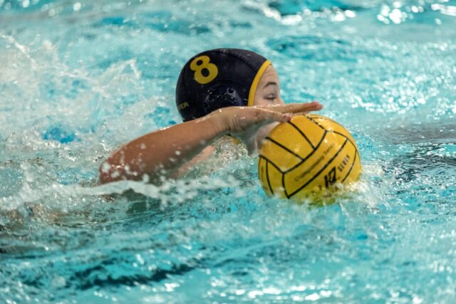 30729144 10155599070511538 854671240336506880 o