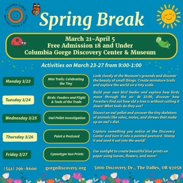 Spring Break 2026 2 1