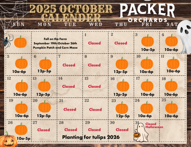 October calendar 2025