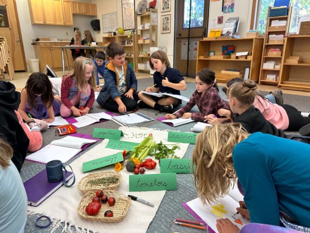 B7b6bfed838aaccd1cca3d52cd080ce75260debef4b8e2792c0d062a8feb6a11 original