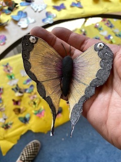 Image1 1