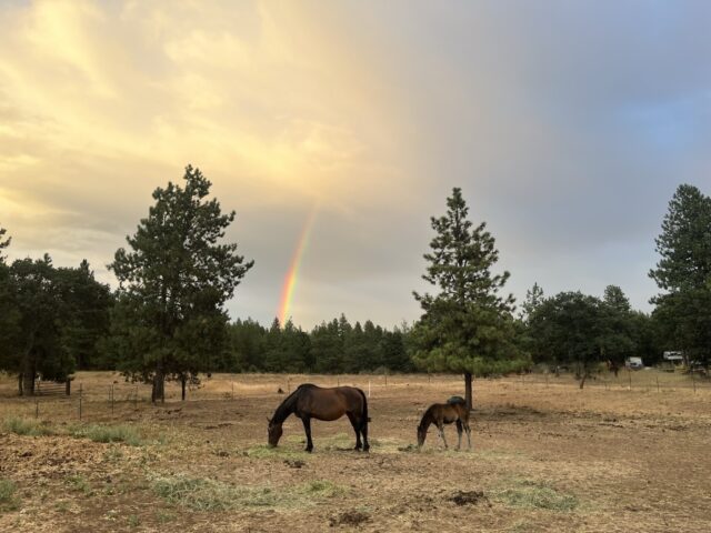 3 E92 CB4 F B5 AC 4906 89 CC BBFBAB2132 BE 1 102 o