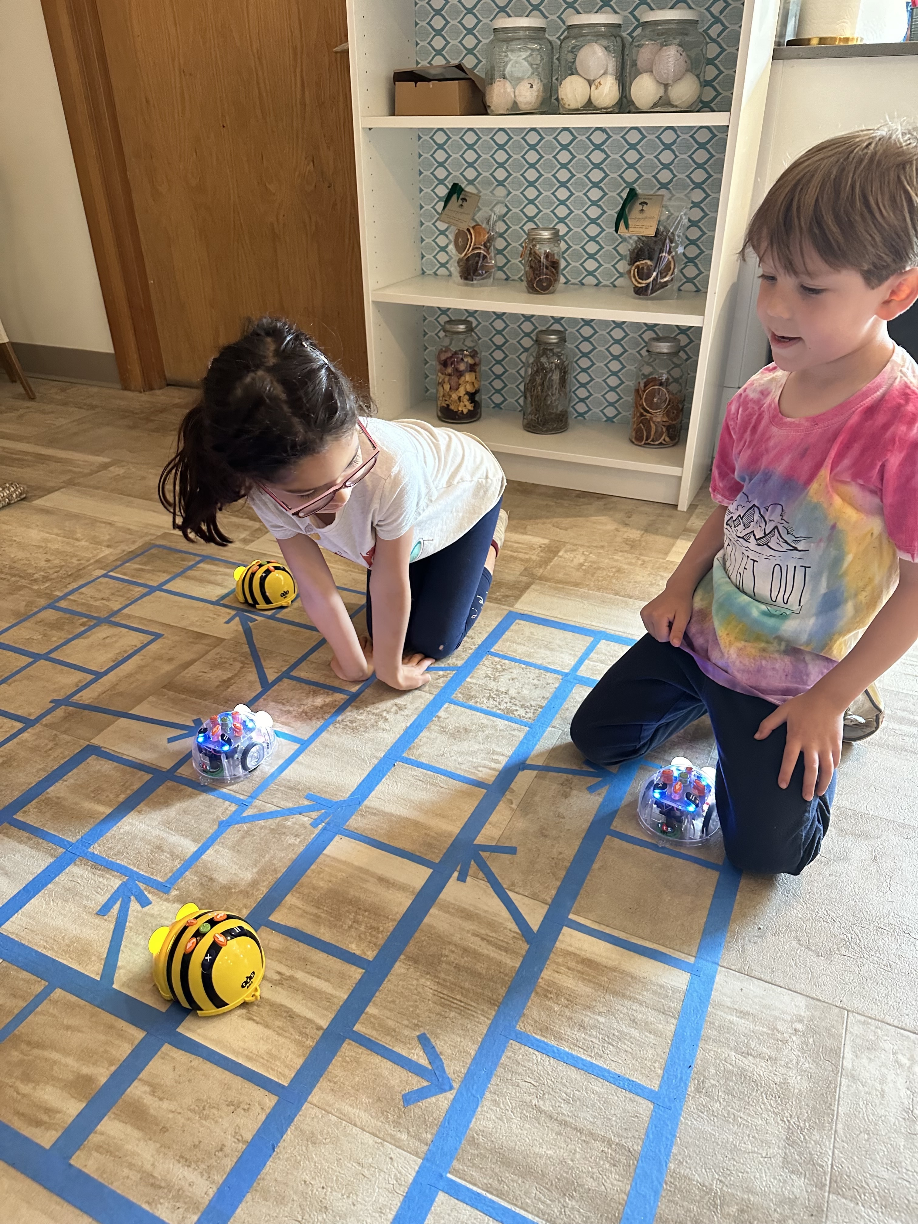 Beebots