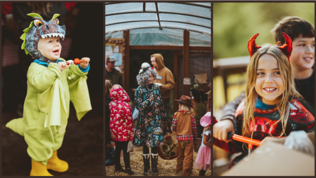 Screen Shot 2025 10 22 at 09 57 38